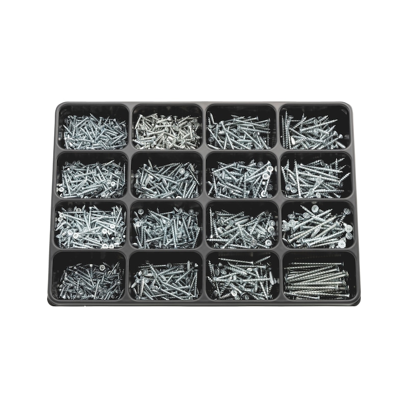 ASSY<SUP>®</SUP> 4 CS fittings screw zinc-plated steel, assortment 2100 pieces - 1
