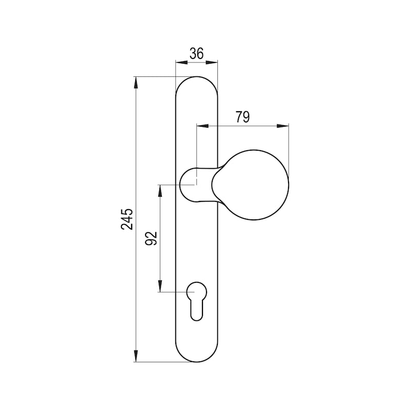 Handle plate on outer plate - 5