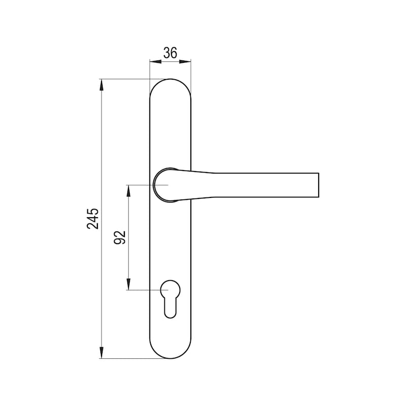 AL 920 door handle on inner plate With CK punch - 2