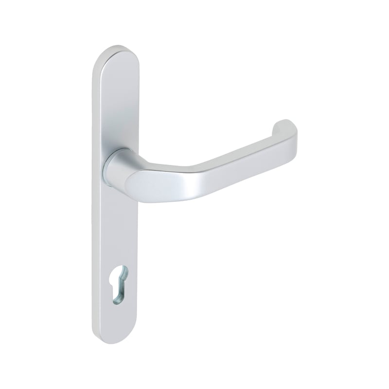 AL 920 door handle on outer plate With CK punch - 1