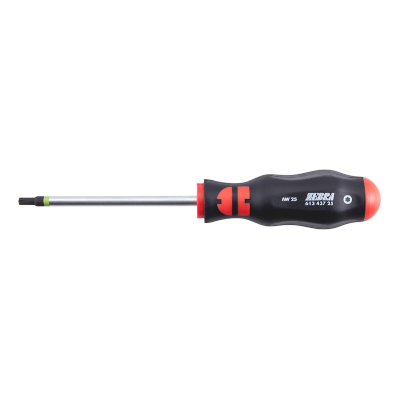 Screwdriver with AW tip - SCRDRIV-AW25X100