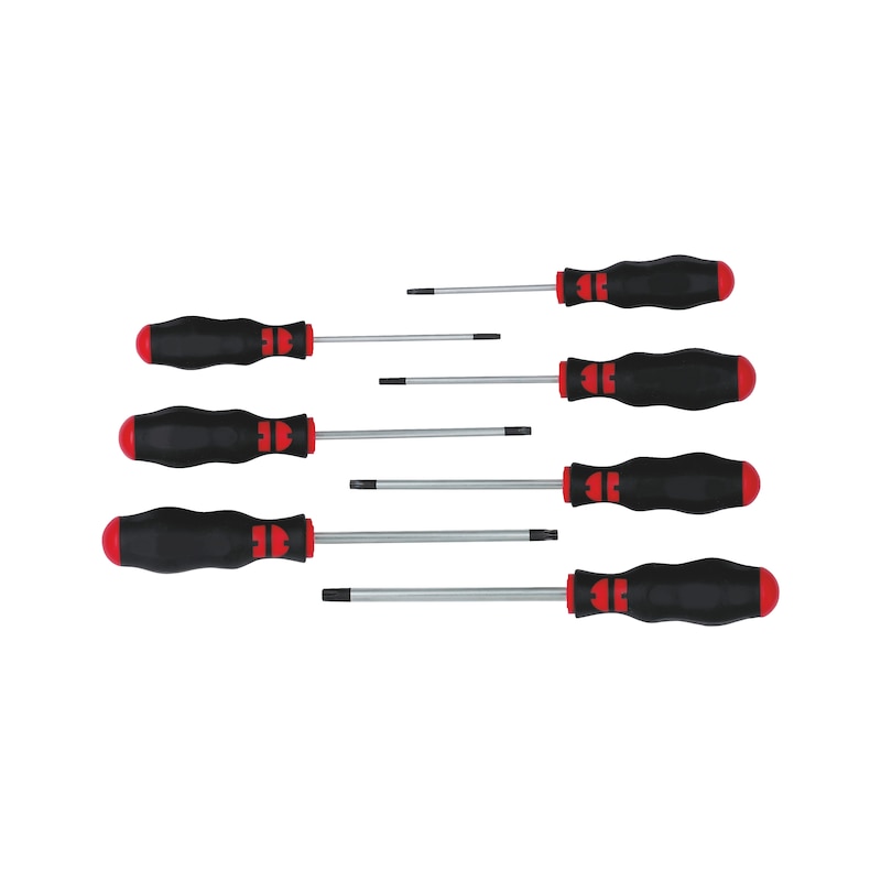 TX screwdriver assortment with hole - 1
