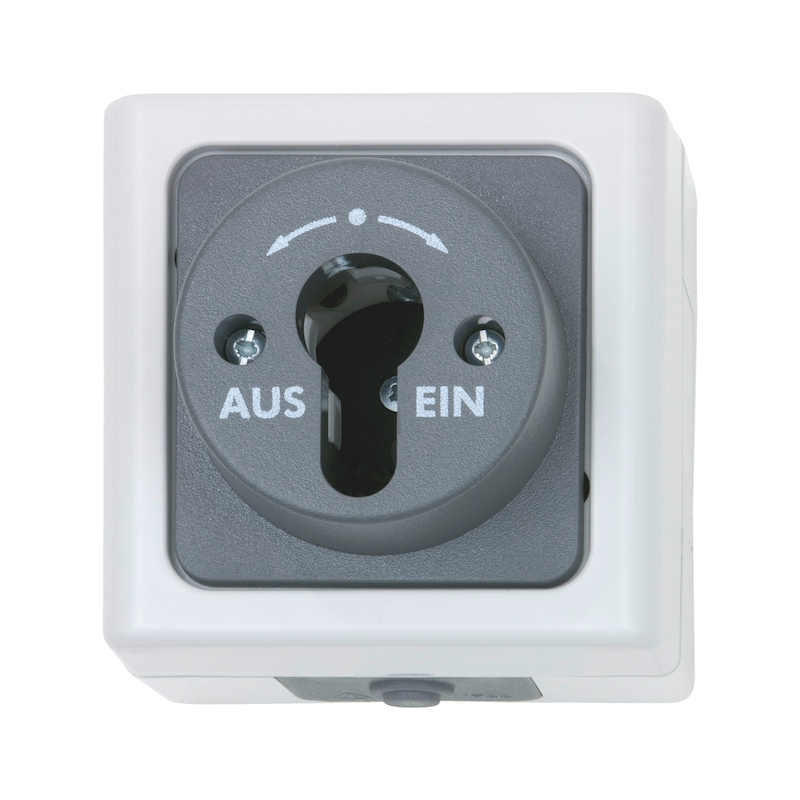 ELMO<SUP>® </SUP>surface-mounted damp-room housing For key switch - SWTCH-SM-KEY-GREY-10A-250V