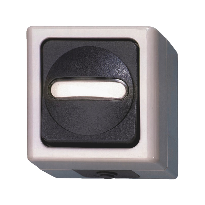 ELMO<SUP>® </SUP>AP damp-room universal switch - 1
