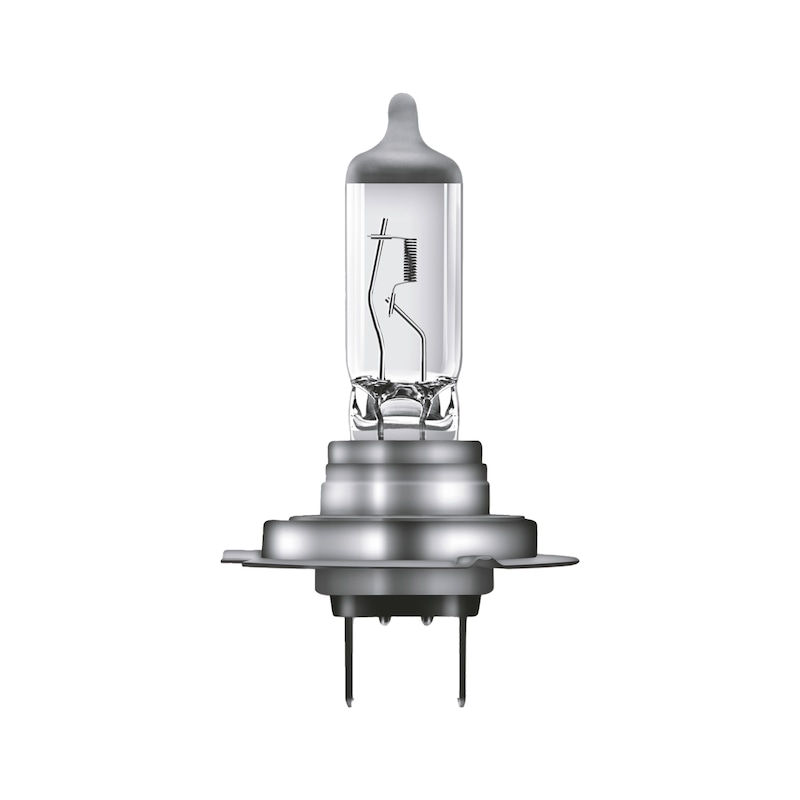 Kfz-Lampen-Set 12V 220-tlg online kaufen