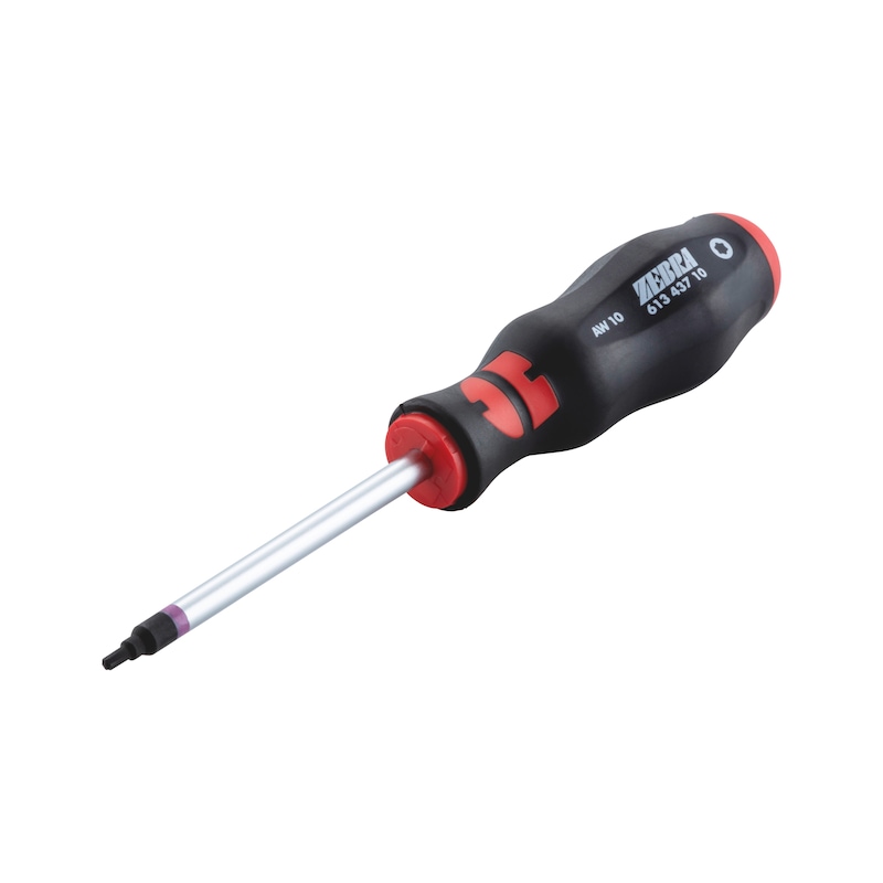 Screwdriver with AW tip - SCRDRIV-AW10X80