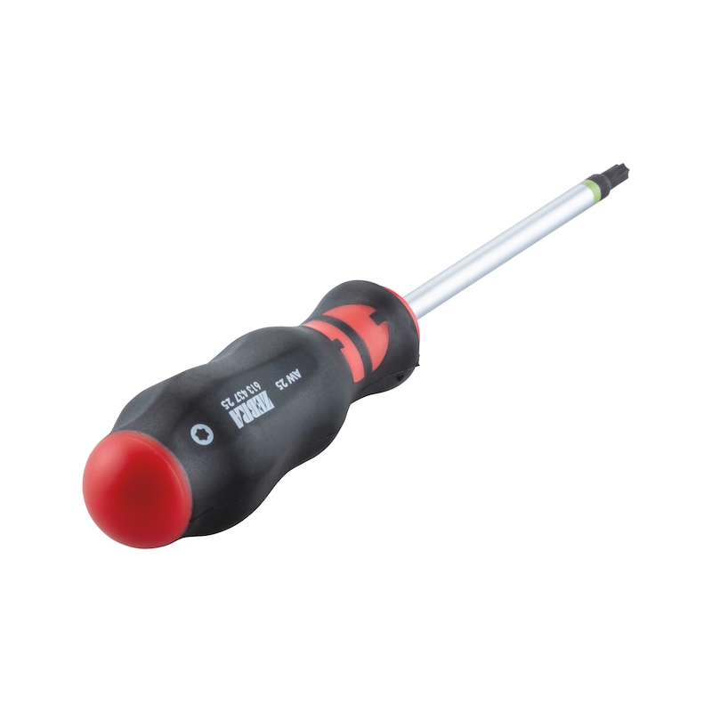 Screwdriver with AW tip - SCRDRIV-AW25X100