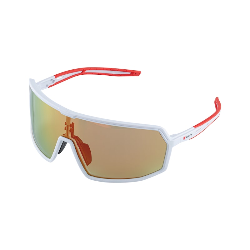 Schutzbrille Muscida