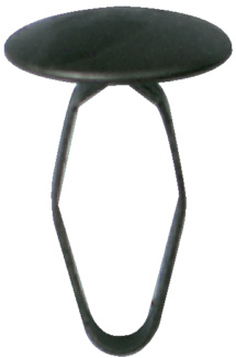 010030960