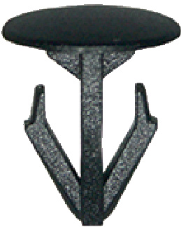 02007975X