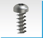 D15.02 Oval-head screw with six-lobe for plastics