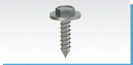 D16 Screw with washer