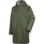 Oliva