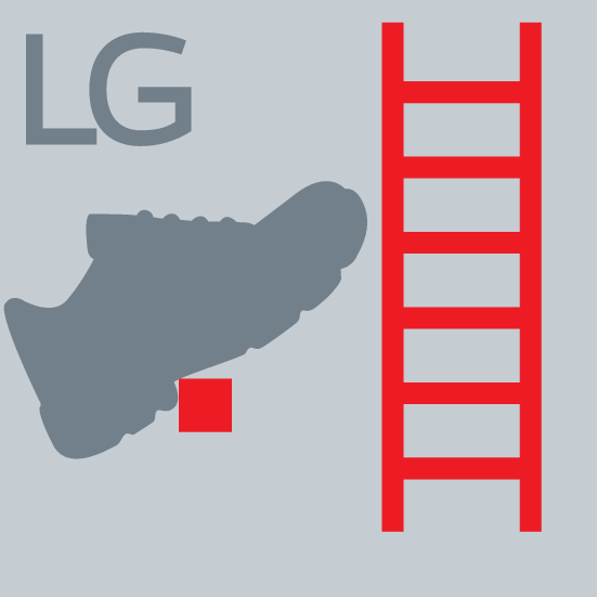 Système grip LG