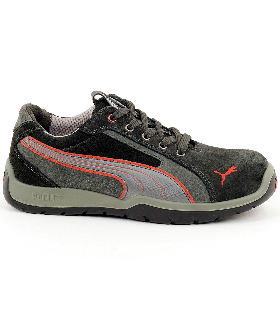 puma grises puma grises