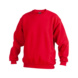 Bluza