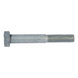 Hexagonal bolt with shank