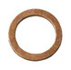 Sealing ring