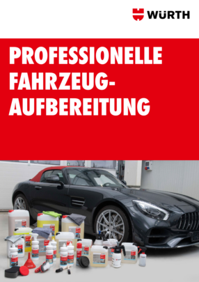Professionelle Fahrzeugaufbereitung Professionelle Fahrzeugaufbereitung