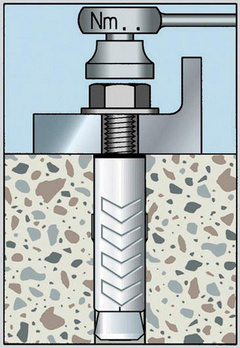 Chevilles à Frapper TRIPLEX - Pose Ultra Rapide avec Seulement le Foret  d'une Perceuse (75 Vis 5X30 mm) : : Bricolage