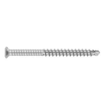 ASSY Plus Decking Screw