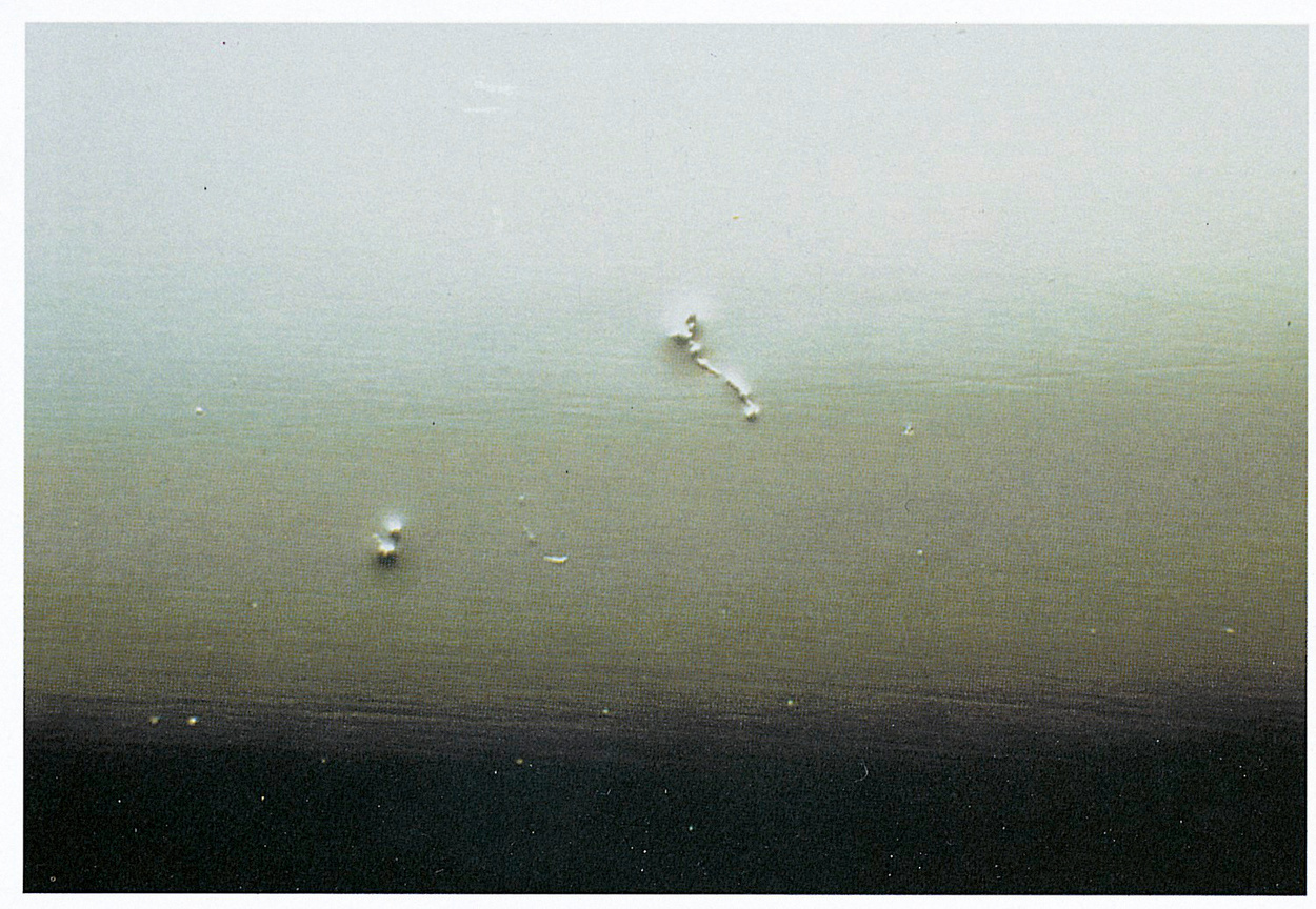 Schmutz Lackschäden Schmutz Lackschäden