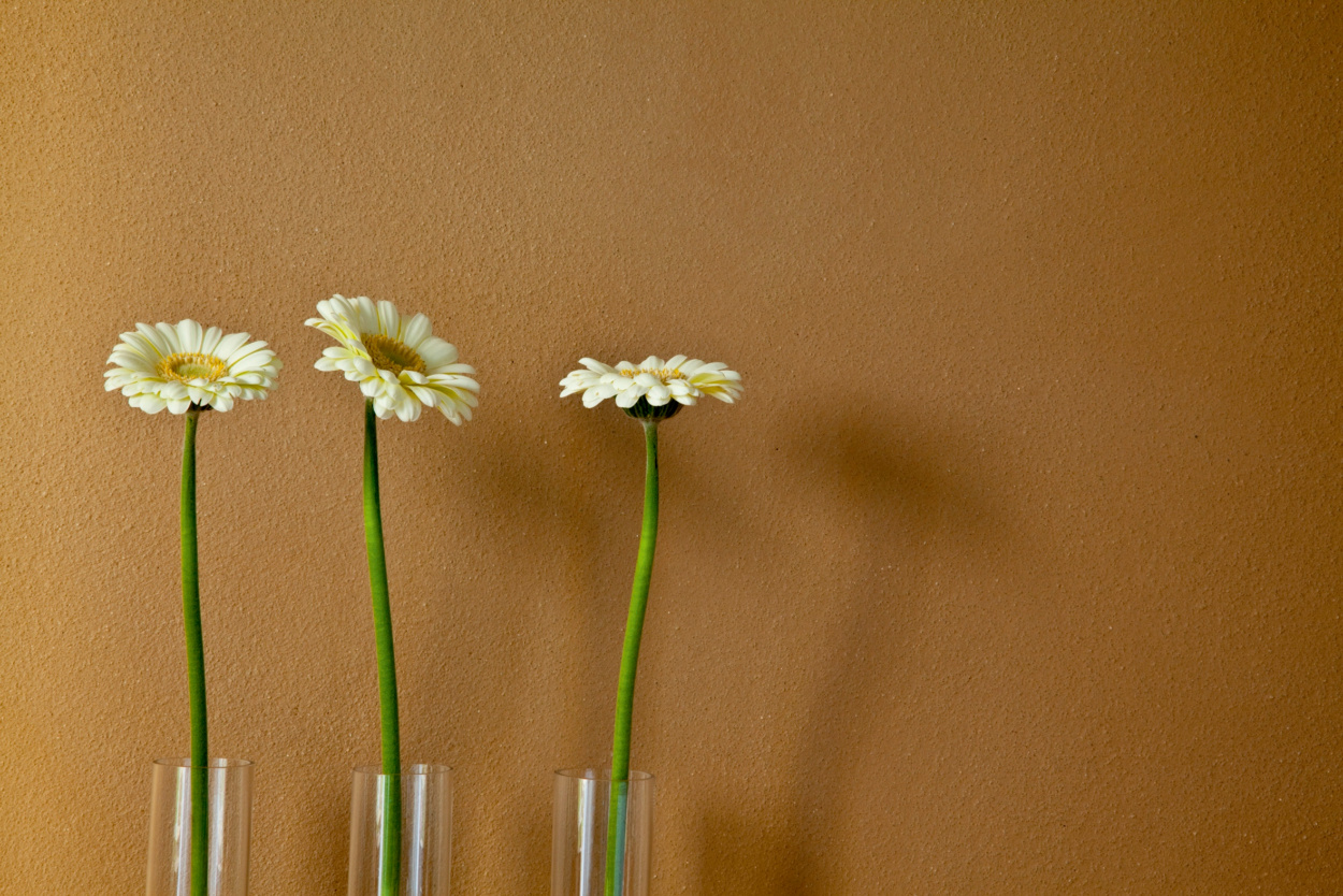 Bauen mit Lehm: 6 Gründe, warum er beim Hausbau eine echte Alternative ist