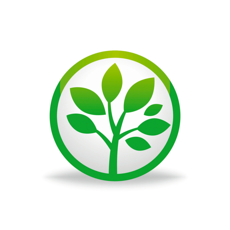 Blatt Icon